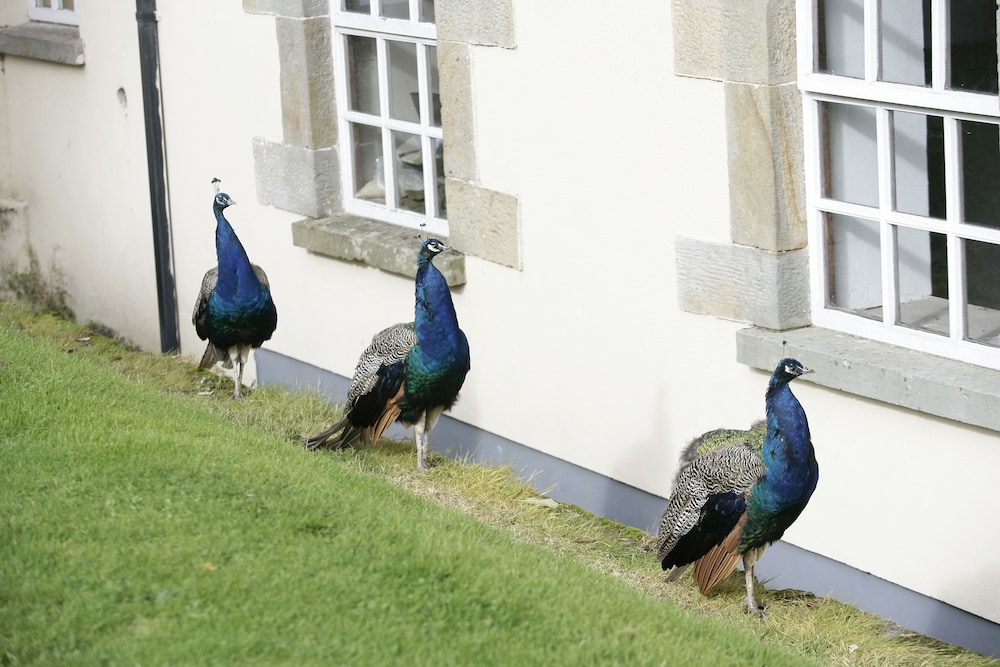 Blessingbourne Country Estate