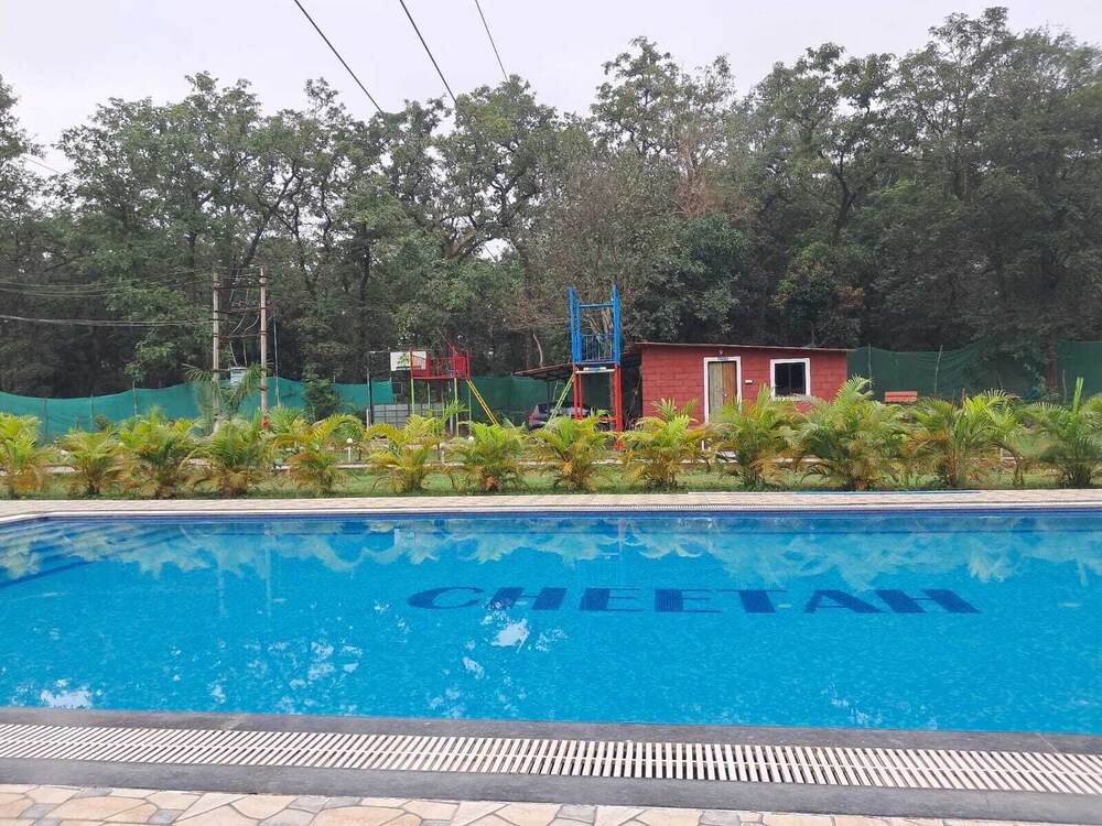 Cheetah Farms Jungle Stay