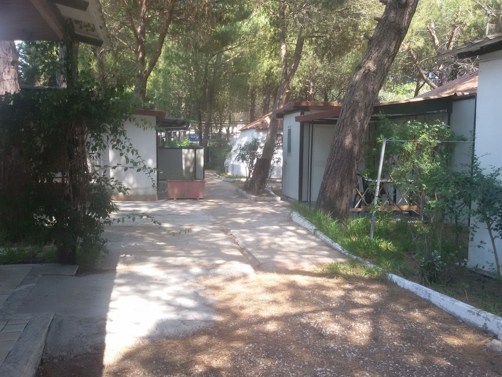 Parco delle Viole