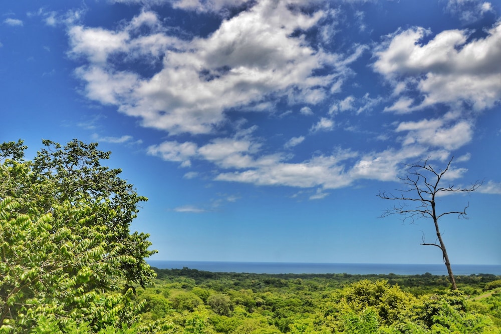 Playa Lagarto Eco Development