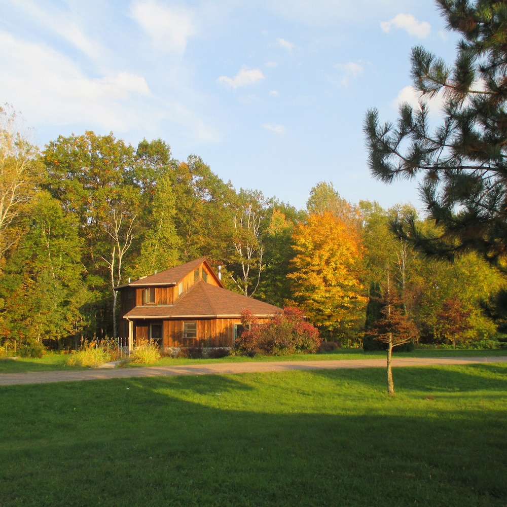 Shire In The Woods