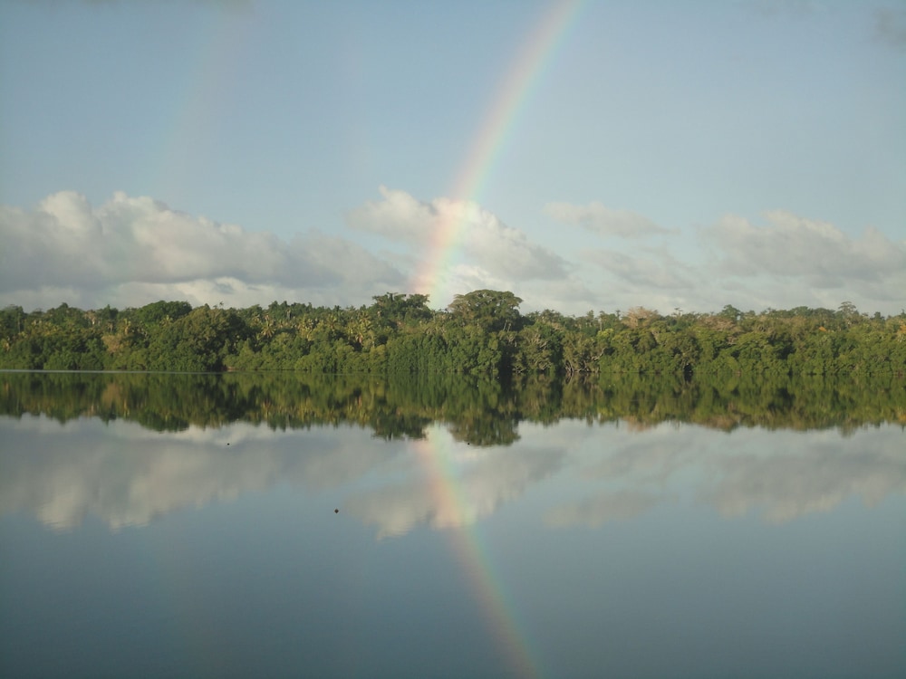 Photo 42