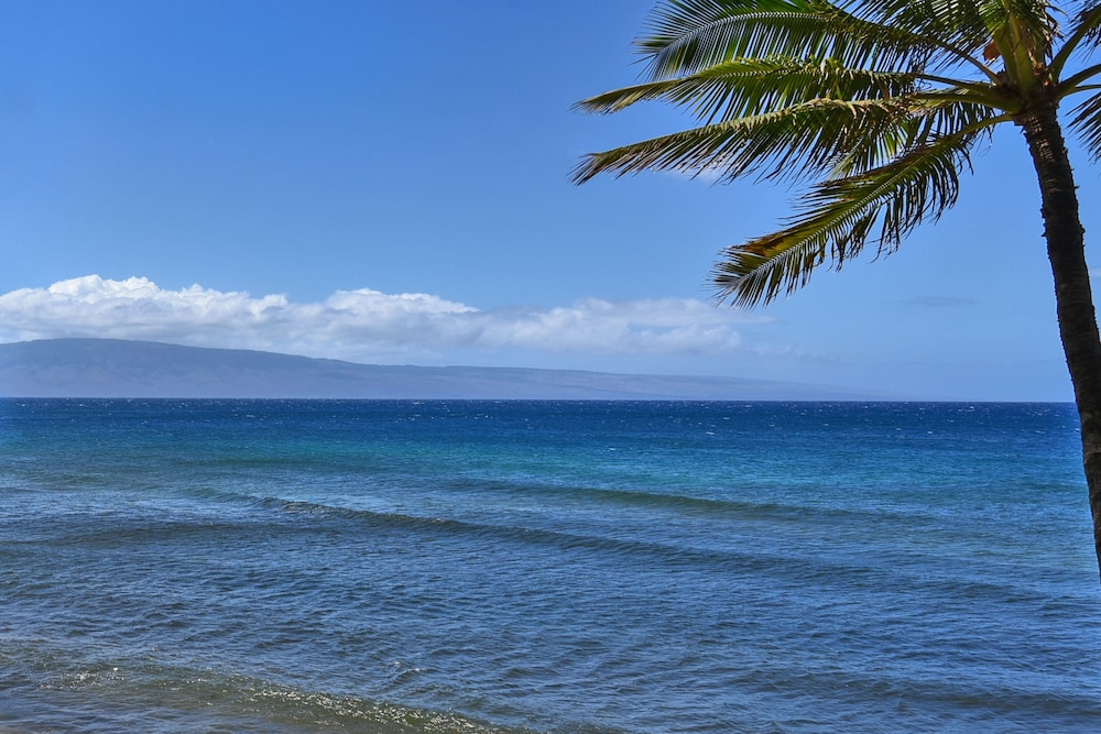Mahana Resort #305 1 Bedroom Condo by RedAwning