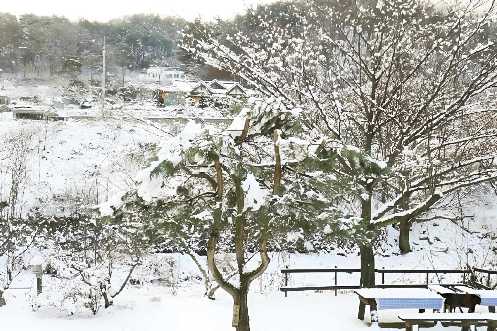 Yangpyeong Pension ANN view 5