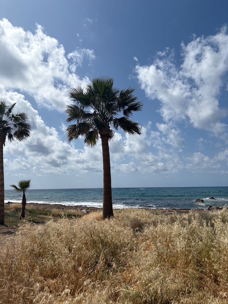 Apartment-paphos-poolside-near Amenities-discounts