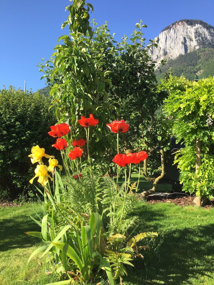 B&B Mon Rêve view 3