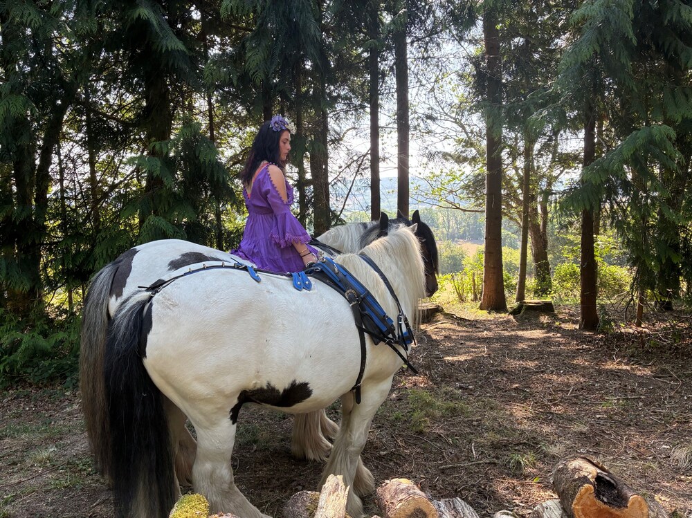 2 Guests - Pet Friendly - Traditional Gypsy Vardo