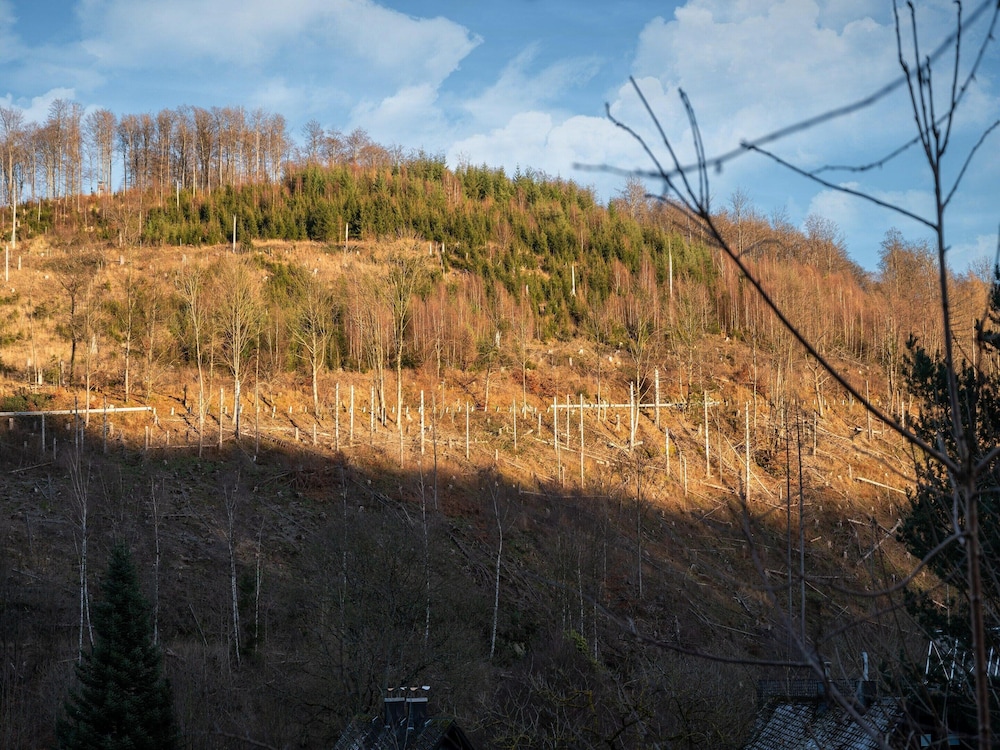 Appartementen Am Forstweg Yalet