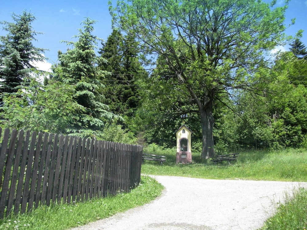 Photo 22
