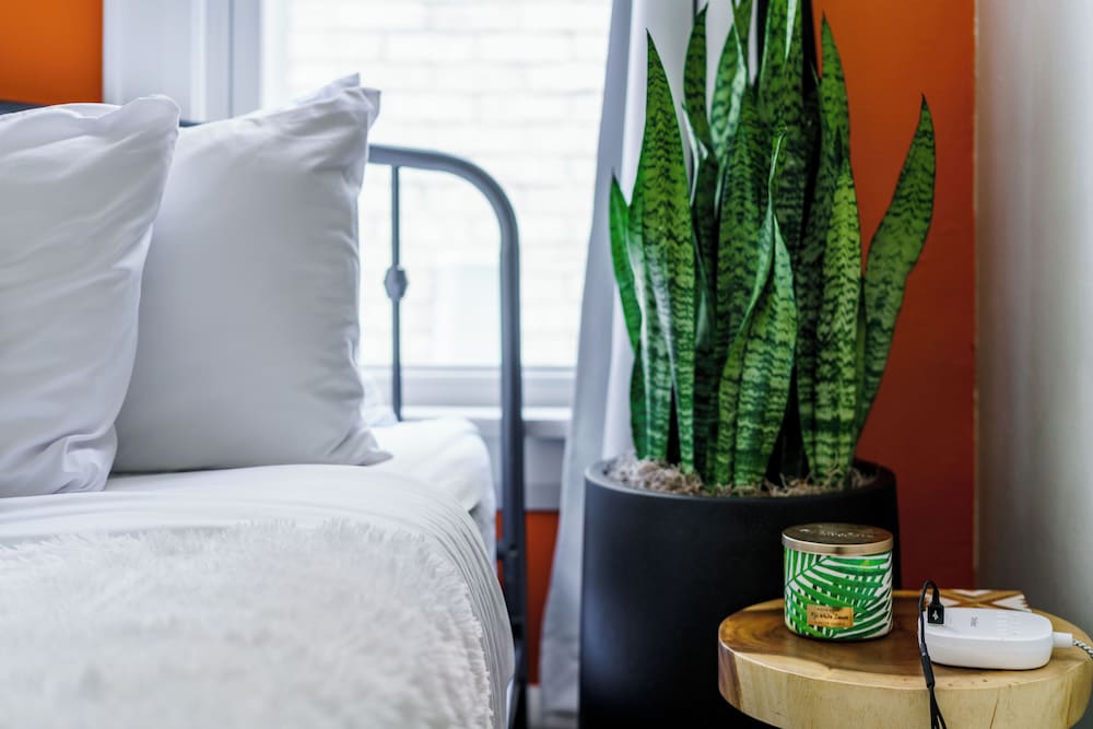 Jungle House Boutique Suites – Short North & Convention Center