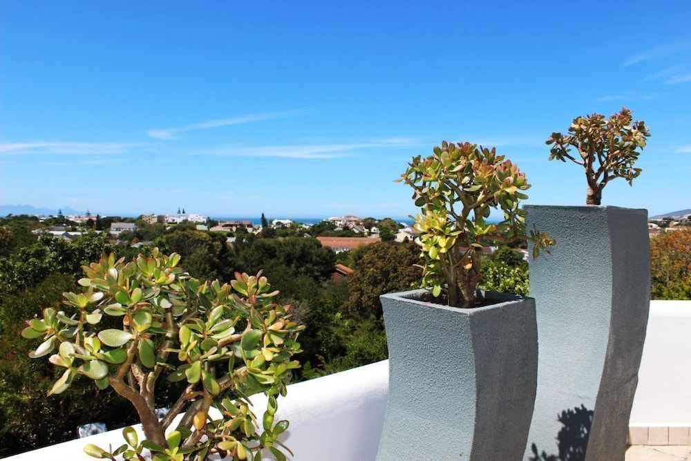 Vilacqua Boutique Guest Villa