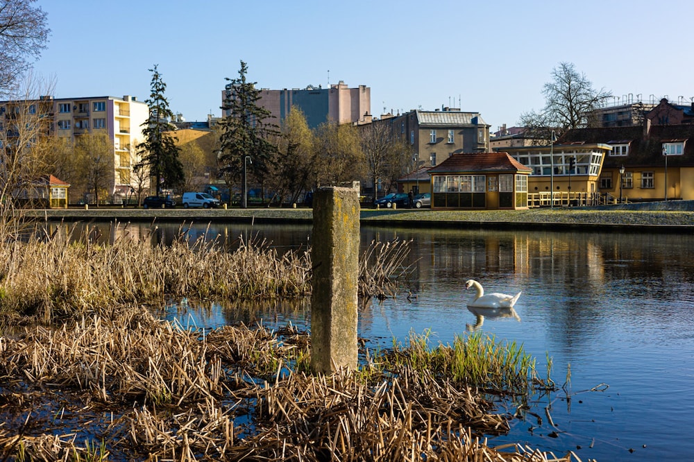 Rio 3 Widok na Bydgoszcz Nordic Heaven