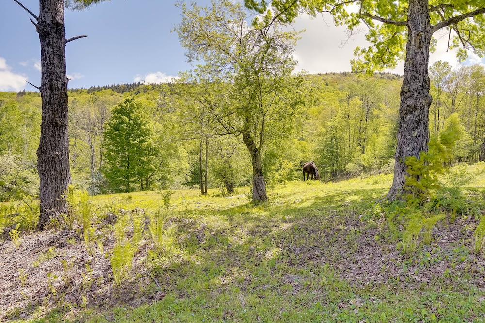 12-acre Vacation Rental in the Berkshires!
