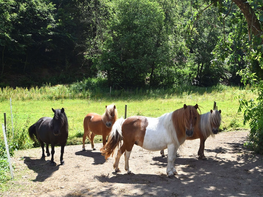 Holiday Farm Situated Next to the Kellerwald-edersee National Park With a Sunbathing Lawn