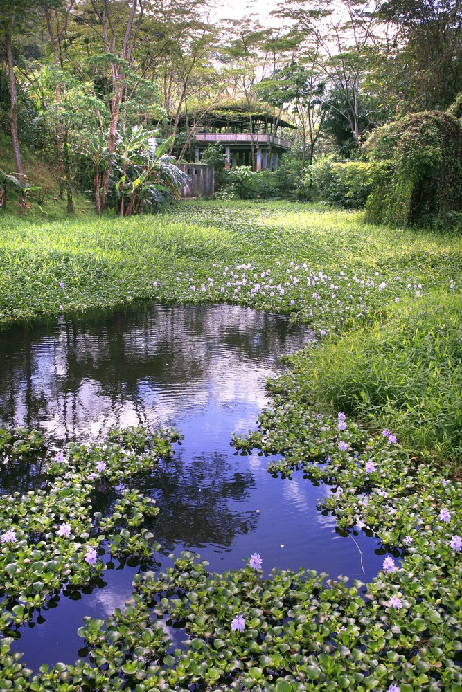 Rancho Margot