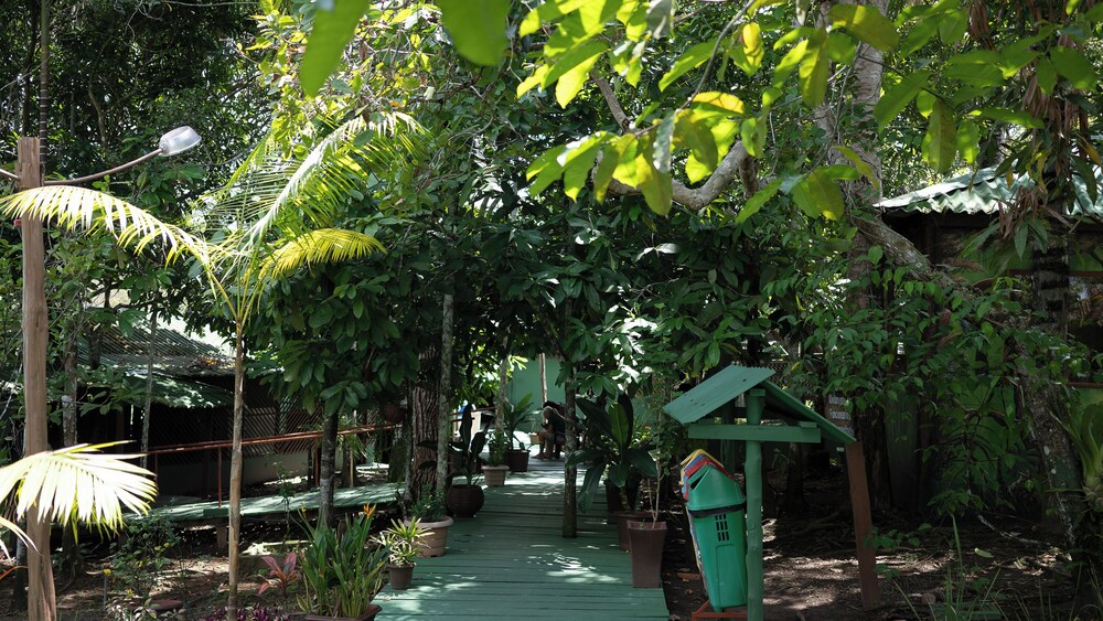 Photo 46