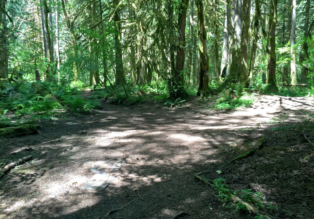 Snowline Cabin #4 - Pet-friendly Cedar Cabin With a Private Outdoor hot Tub!