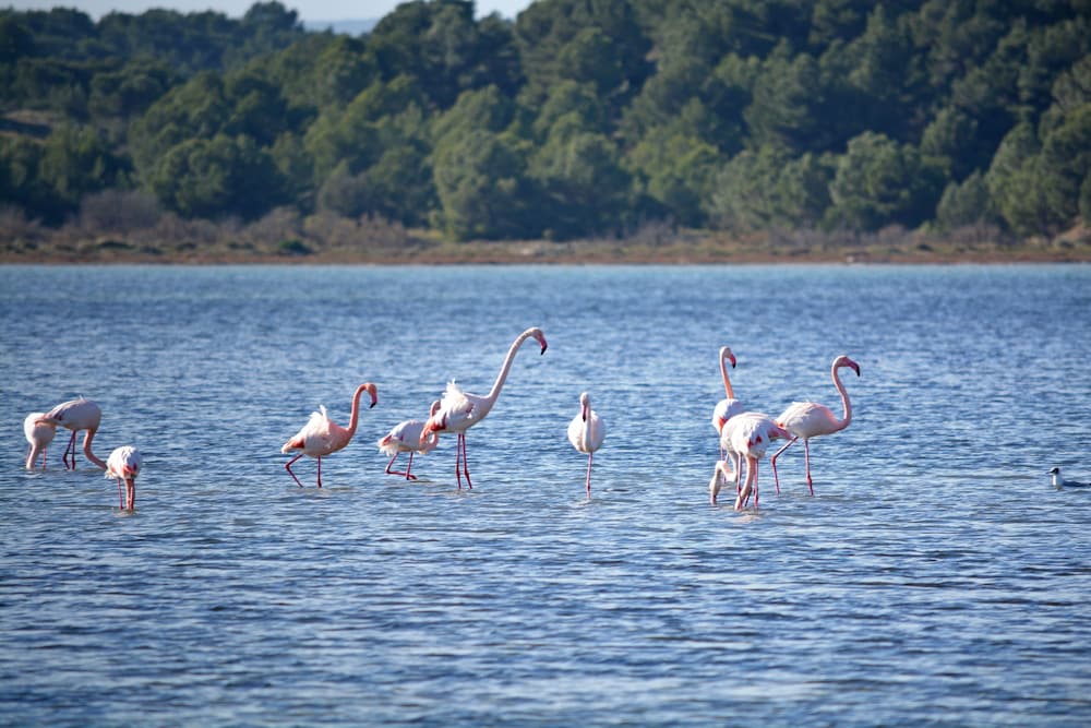 Camping Hameau Des Cannisses