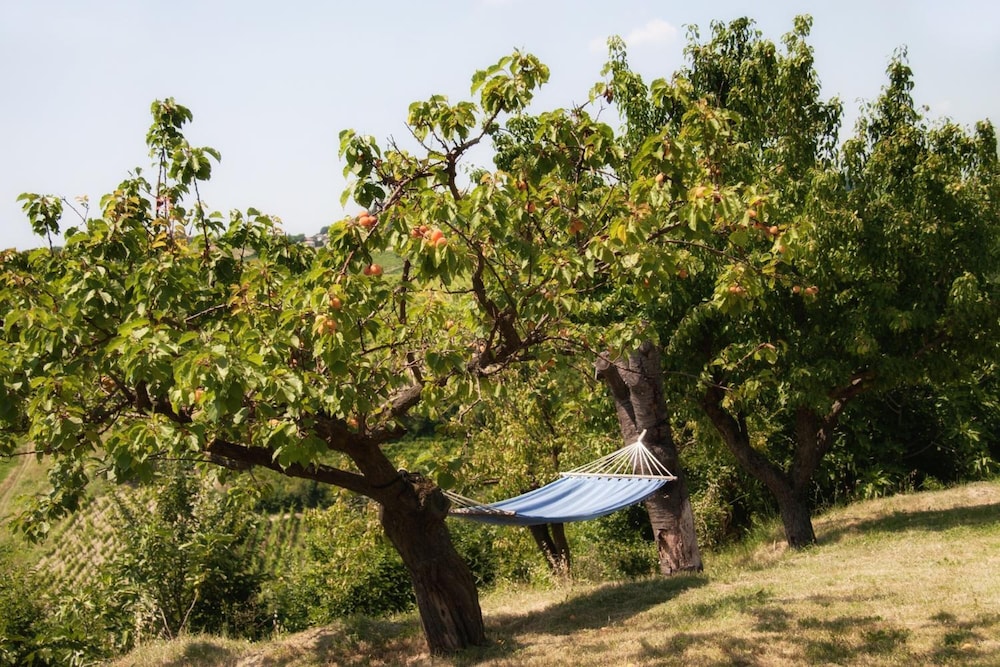 Il Poggio B&B