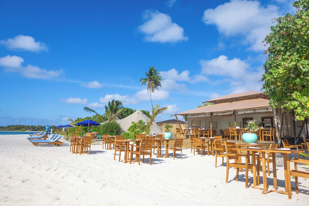 The Maverick Surf and Dive Boutique Hotel
