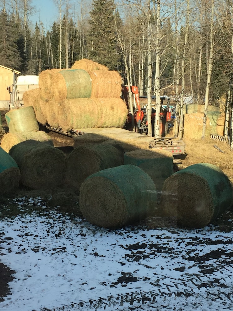 Montana Hill Guest Ranch