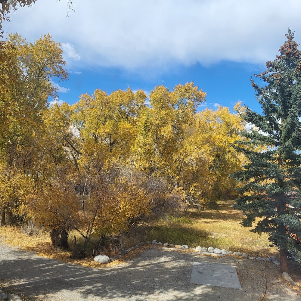 Buffalo Peaks B&B
