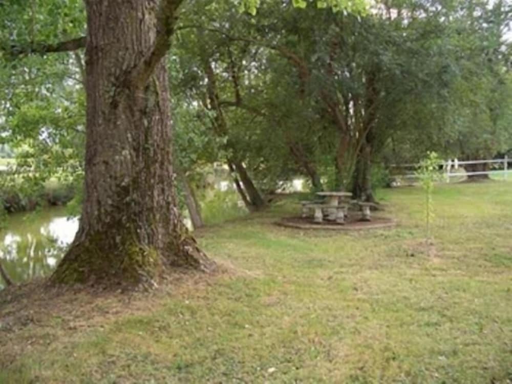 Le Platane