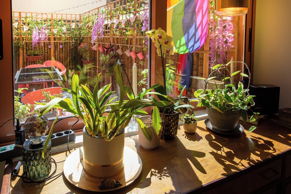 Alegr0 · 60s Chic Central Apartment w/ Garden