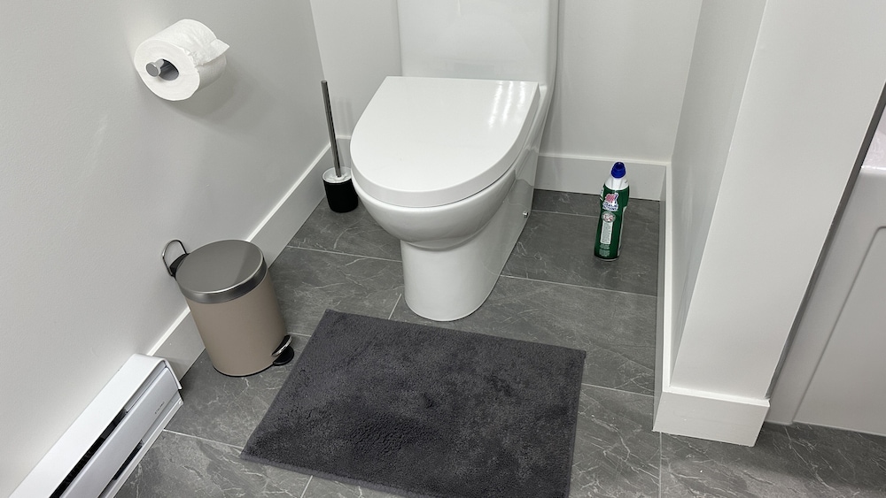 Vancouver Vacations - Ruby Red Cloud Homes Vancouver - Property Image 12