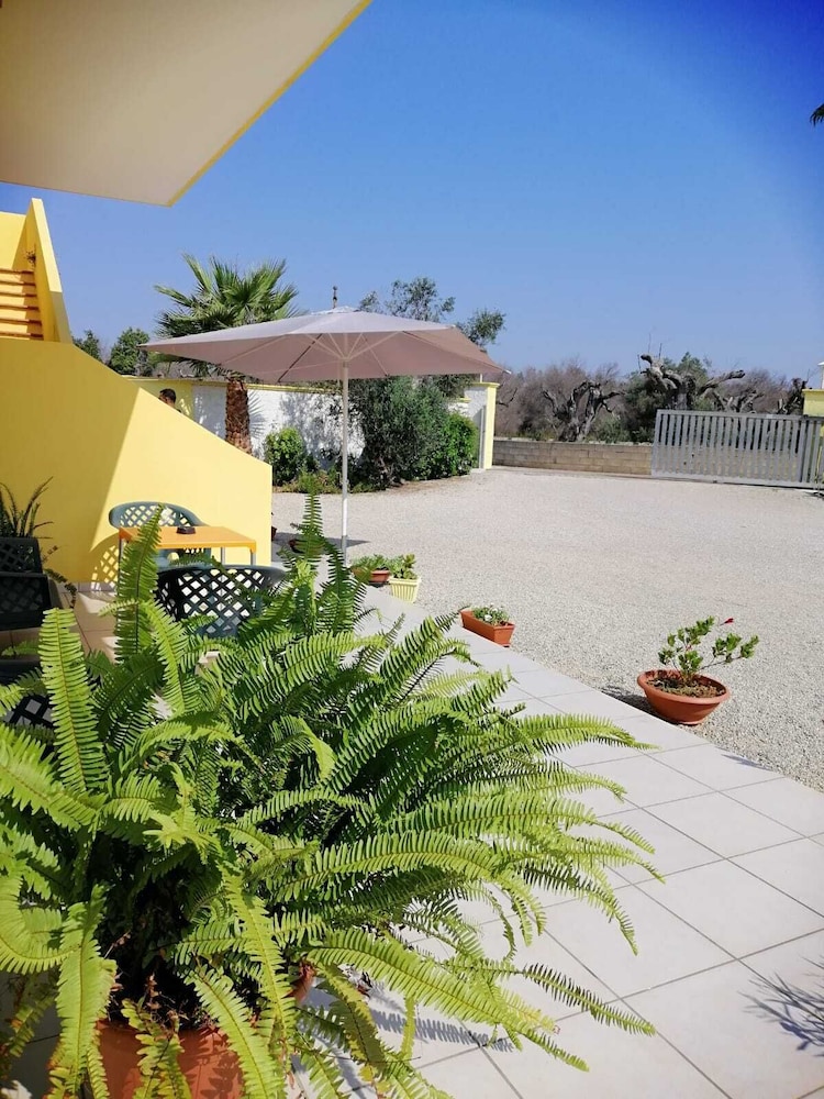 Photo 22