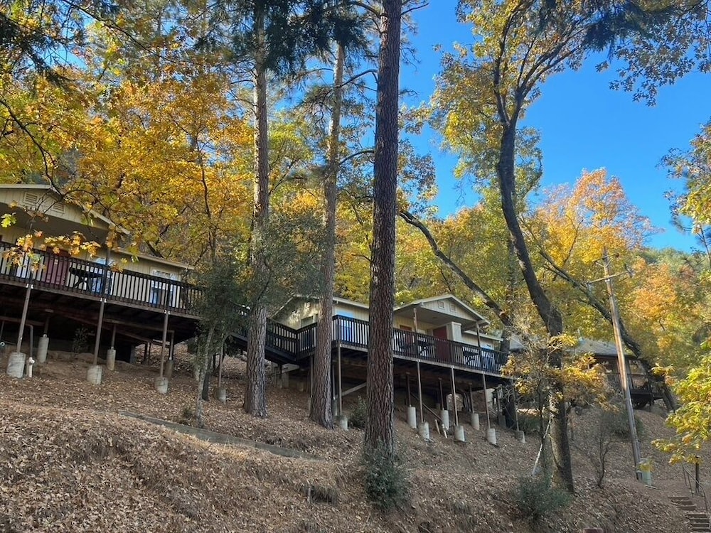 Yosemite Bug Rustic Mountain Resort