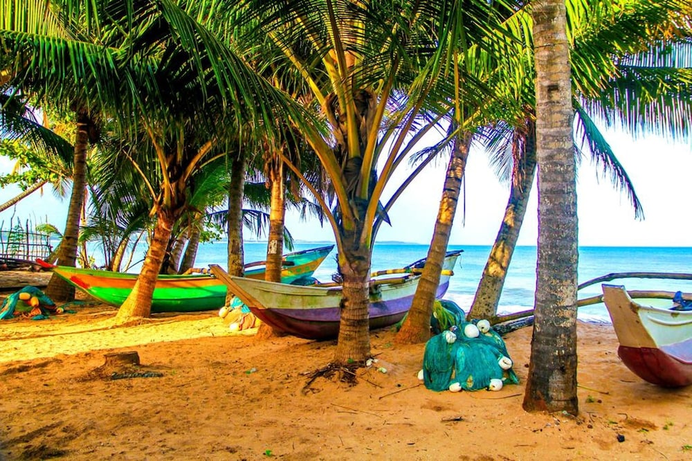 White Ro Resort