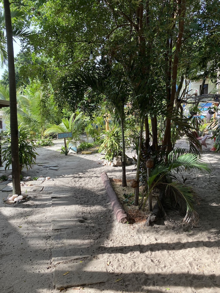 Macaco Surf House - Hostel