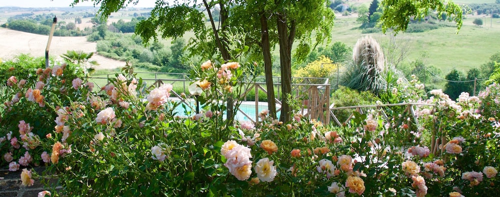 Agriturismo Quarto Podere