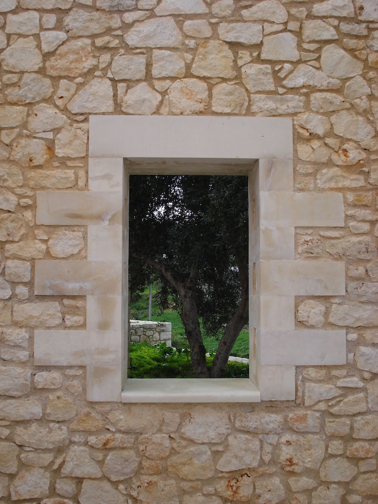 Photo 62