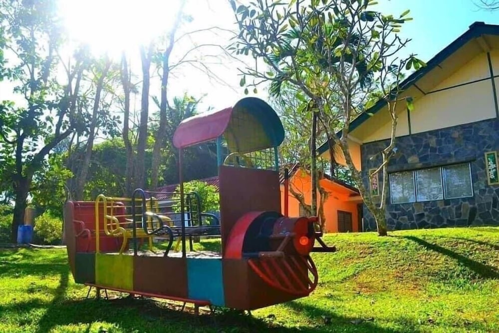 Photo 10