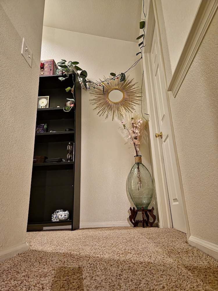 Casa de gato