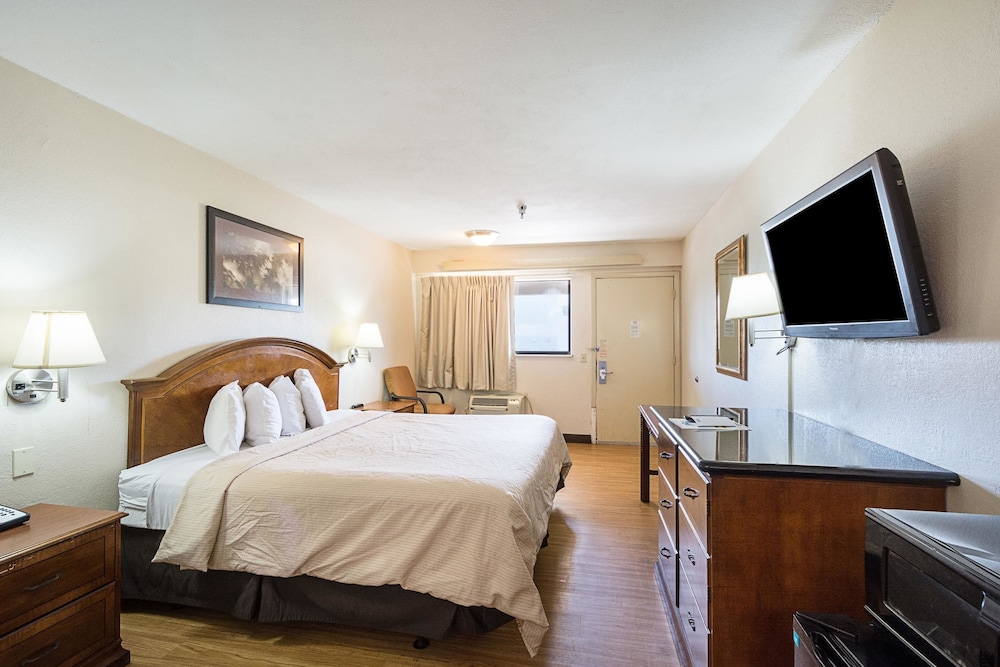 Rodeway Inn Tampa near Busch Gardens - USF, Bilde 7