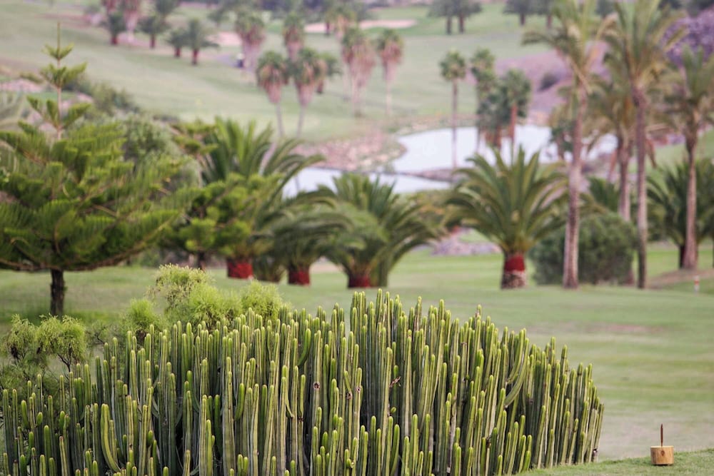 Villa Vista Golf 22
