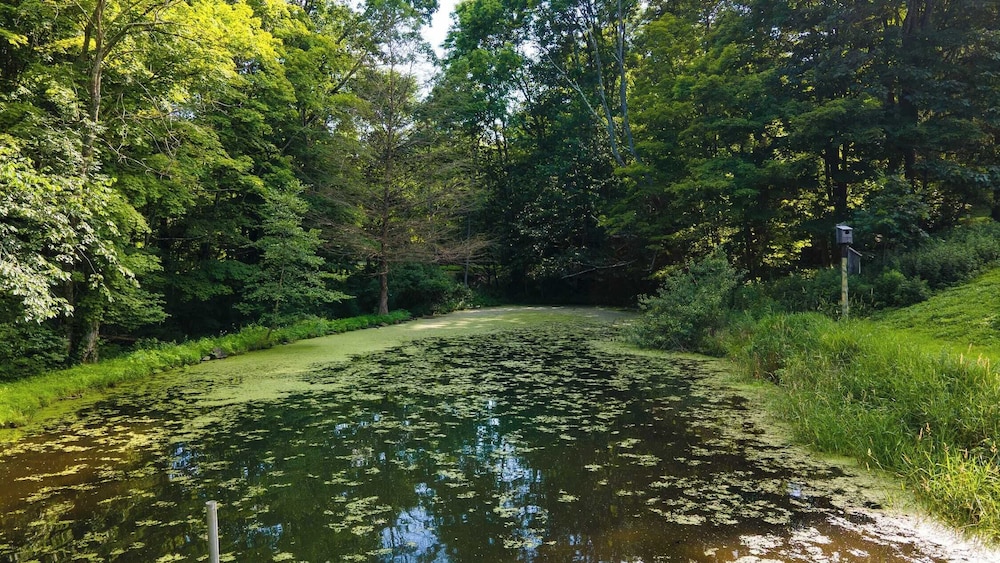 Historic Barn Retreat w/ Pool & Pond Views Longview Pond Lodge by Avantstay