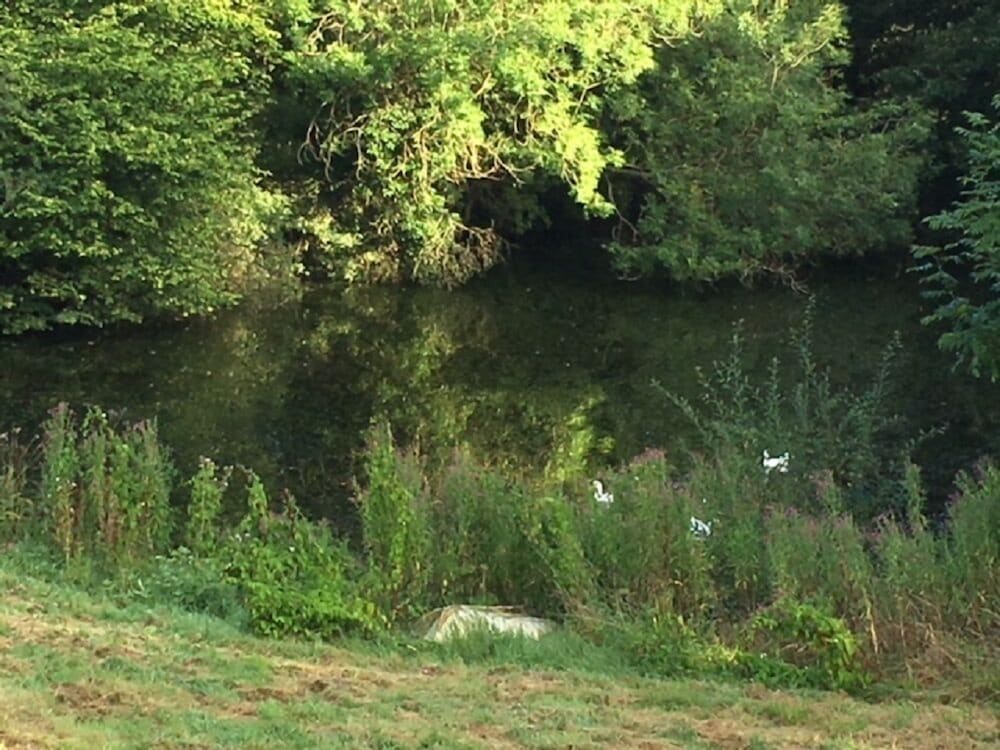Grange Farm Bed & Breakfast