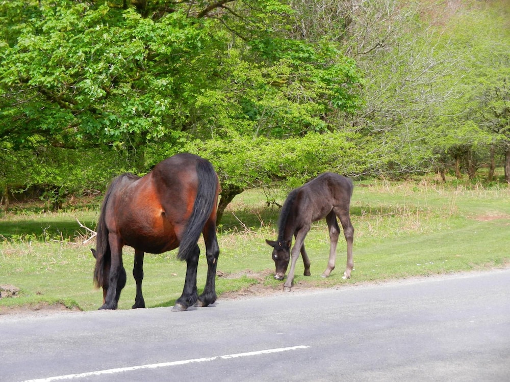 Yelverton Vacations - Overcombe House - Property Image 10