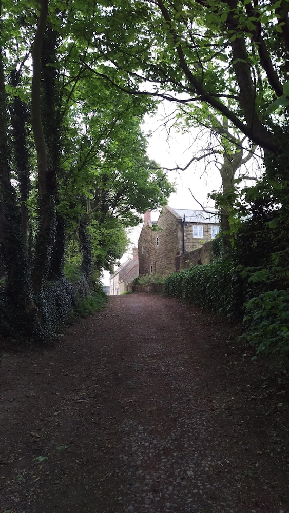 Photo 27