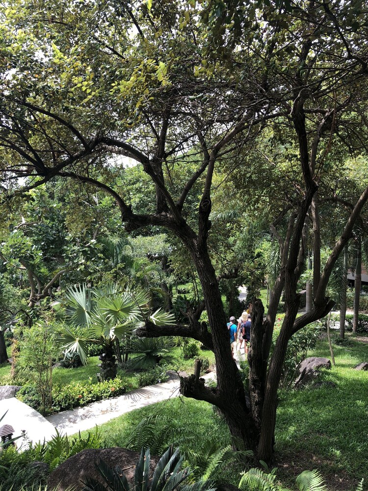 Tanote Villa