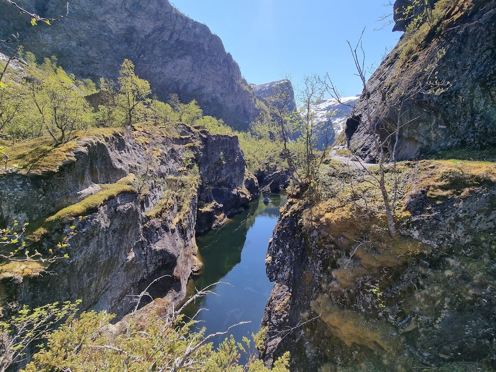 Photo 44