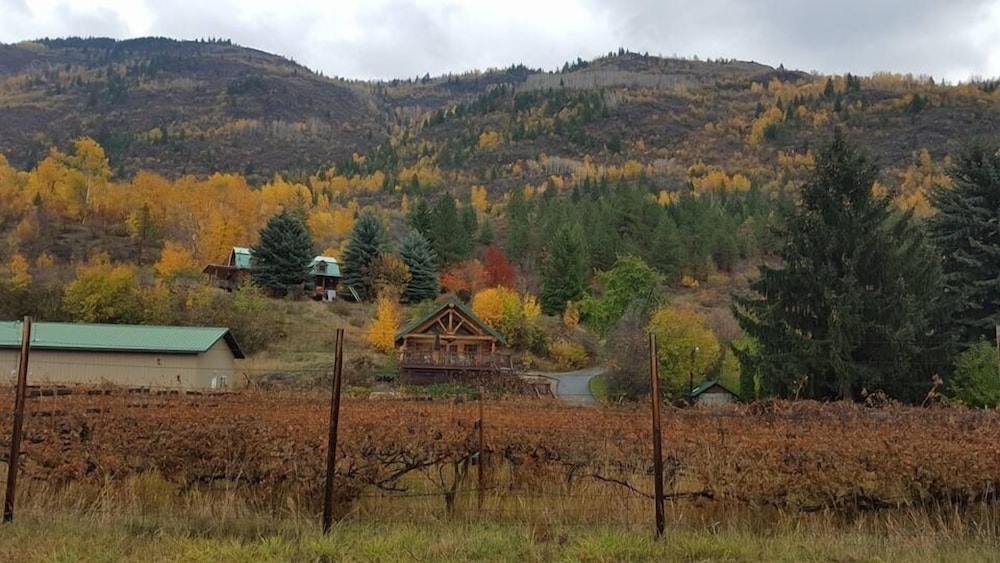 Columbia Gardens Winery and Grape Escape Guesthouse
