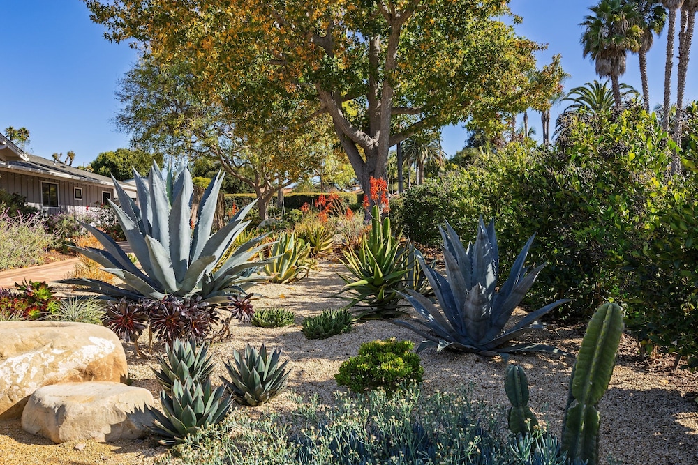 Hummingbird Haven by Avantstay Dog-friendly Near the Beach Huge Yard Hot Tub