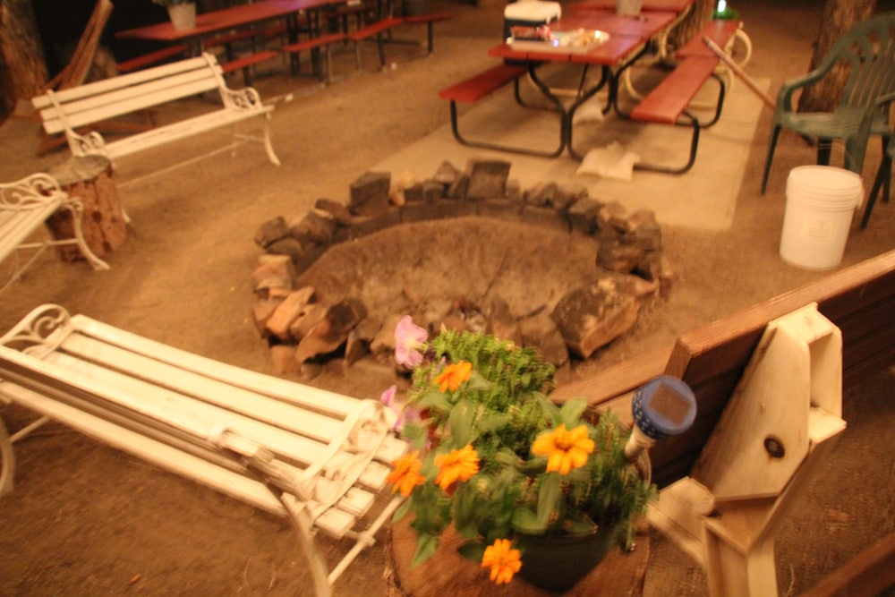 Black Bear Inn