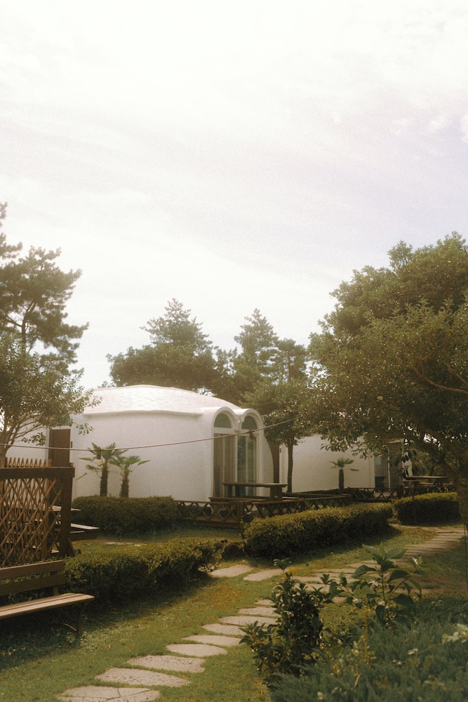 jeju domgrami