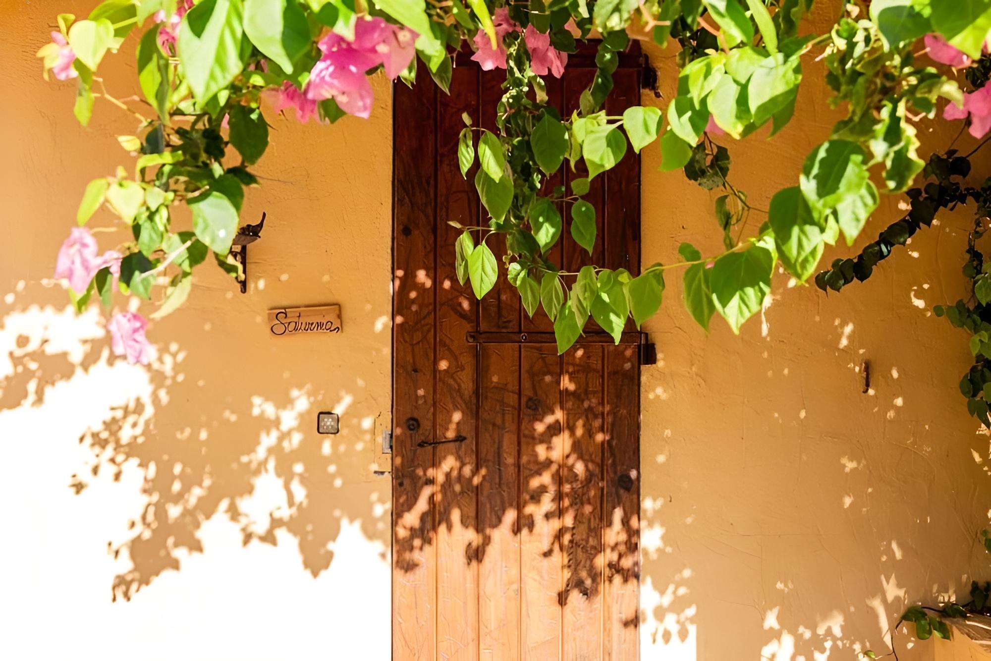 Las Mariposas Ibiza